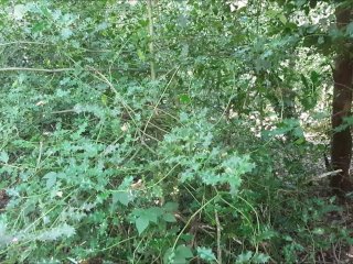 Public Outside Woodland Fuck with My Shades On