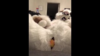 Fullsuit Egg Laying By Saoirse Mutt