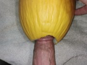 Preview 3 of Big dick fucking Watermelon ( canari ) close up