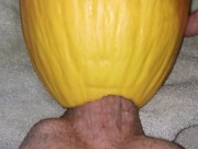 Preview 4 of Big dick fucking Watermelon ( canari ) close up