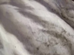 Free Trailer: Freshly Trimmed Honey Brown Pussy