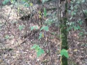 Preview 1 of Вышла на прогулку в лес и увидела, как пара лесби трахается. Сняла их на