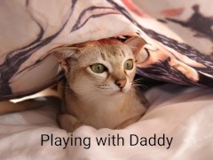 Hide and seek with daddy