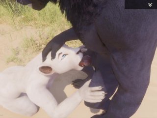 furry animation, blowjob, pussy licking, anthro