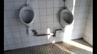 Um Grande Galo Em Um Banheiro Público Em Londres