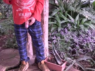 SixPack Desesperate Piss: Sunday 11th