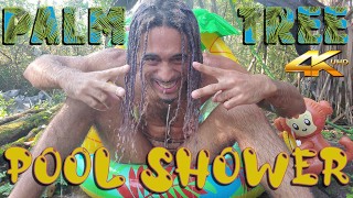 Palm Tree Pool Shower (4K)