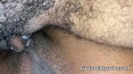 Playlist Thumb 50878292-1