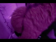 Preview 2 of Xneo railing Sucario's ass on the bed and pumping a puppy full of his cum