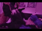Preview 6 of Xneo railing Sucario's ass on the bed and pumping a puppy full of his cum