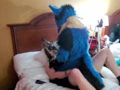 Video Brff Murrsuit Party / orgy breeding and all kinds of furry sex