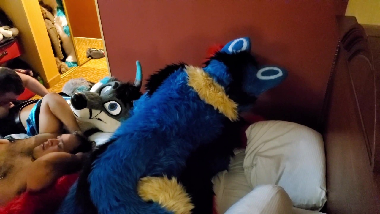 Fursuit orgy porn