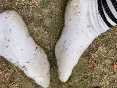 Dirty Socks Tease Knee High Socks Adidas Trailer