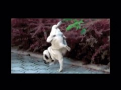 Я писаю в стакан для виски, вылевая мочу на себя. - Screenshot 16 of 16 - Teen