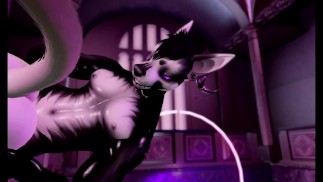 Второй круг