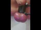Slave put into elastrator chastity and tormented 