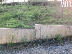 Потрахалась после пробежки с незнакомцем || Murstar - Screenshot 1 of 16 - Murstar