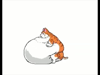 Cat with a Belly Full of Cum Inflation
