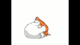 cat with a belly full of cum inflation