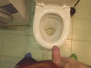 Preview 1 of PISSING IN TOILET