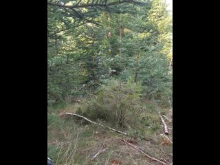 Hrátky v přírodě