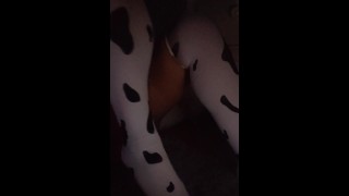 Teen in cow stockings jiggling