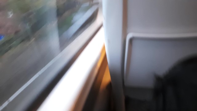 Public Dick Flash in the Train Ended up with Risky Handjob and Blowjob from a Stranger. got Caught.