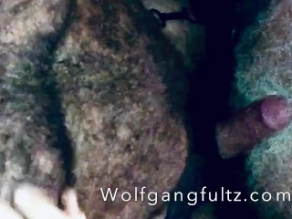 Волосатые мышцы сигары медведь Wolfgangfultz без седла серебряный папа.
