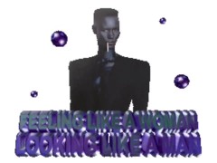 Merica  - Screenshot 16 of 16 - Election Day