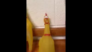 Playing with 17 Cocks