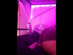 Booty Tribute  - Screenshot 10 of 16 - Pinky