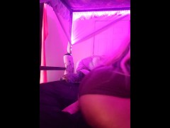Booty Tribute  - Screenshot 11 of 16 - Bbw