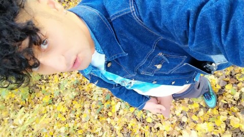 Autumn peeing on dry leaves in a park