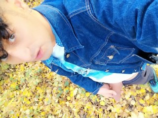 Autumn Peeing on Dry Leaves in a Park