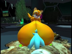 Marine the Raccoon X Sonic OC