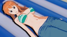 Hentai One Piece 3D