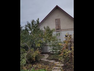 autumn, garden, day, vertical video
