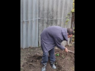 I dig a hole for autumn garbage.