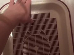 the girl confused the toilet with a cat potty. It happens to everyone?