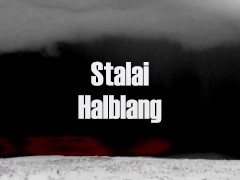 Stalai - Halblang (Official Audio)
