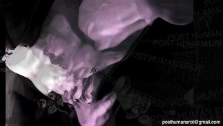 post:human:erot /// введение