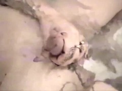 ivvi erot - wayyyy high bath