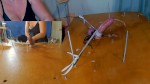 播放列表 Thumb 157163811-1