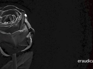 Erotic 3 - Positive, man-loving erotic audio by Eve's Garden