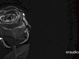 Erotic 3 - Positive,Man-loving Erotic Audio by Eve's_Garden