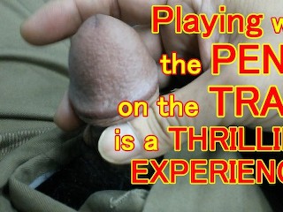 I FIDDLED with the PENIS on the TRAIN