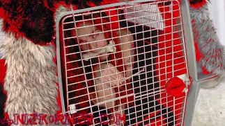 Deluxxx Введение в Groupie Dog Slut Part 2 - веселая грязная халява