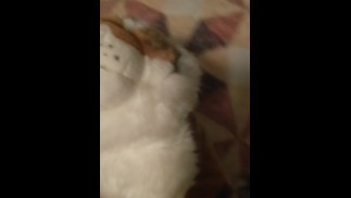 Снова заняться с ней сексом после пары рюмок 