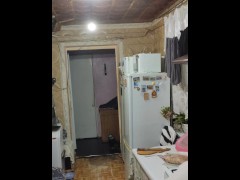 This time it's a duck.