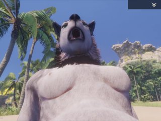 butt, anal, yiff, 60fps